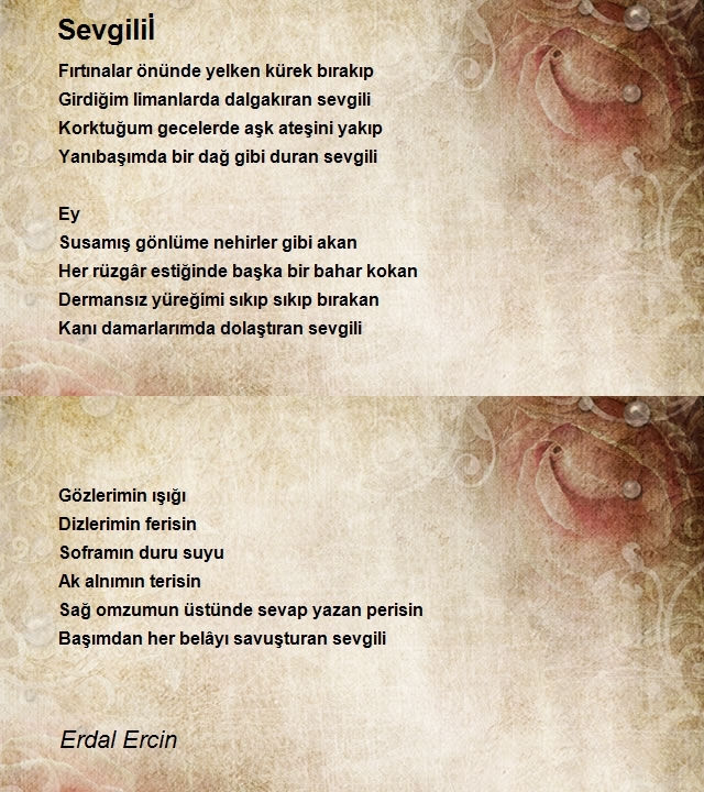 Erdal Ercin