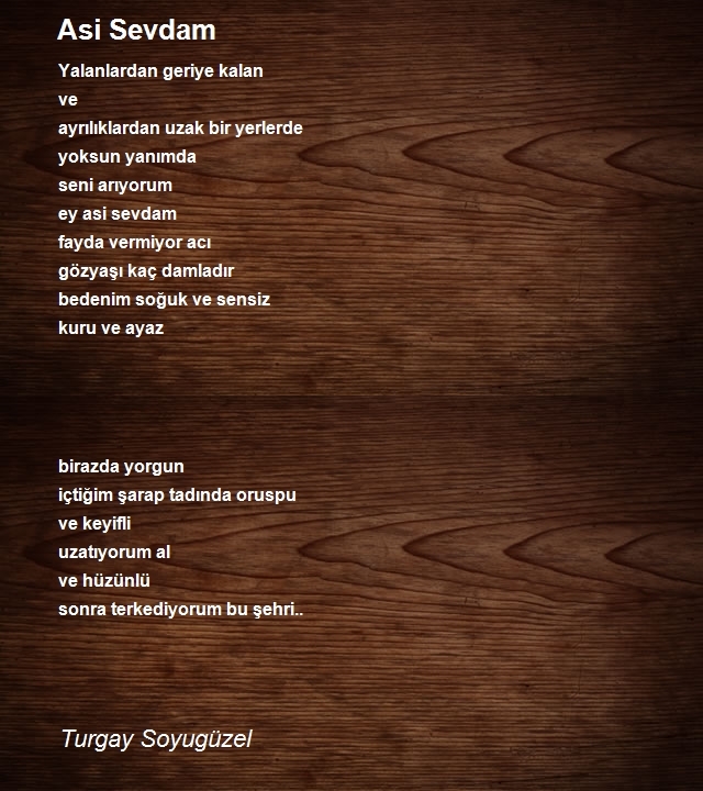 Turgay Soyugüzel