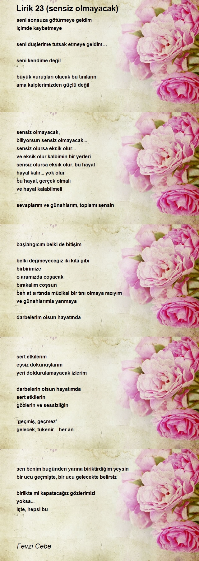 Fevzi Cebe