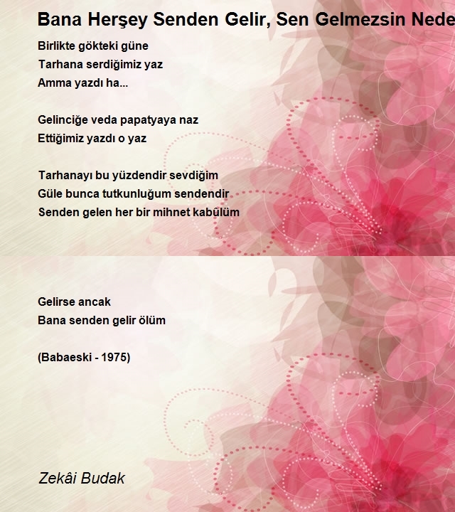 Zekâi Budak