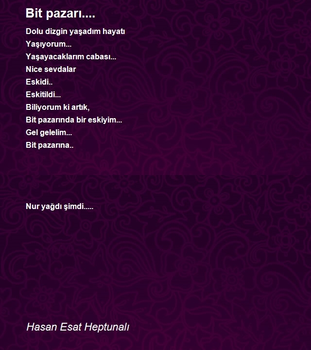 Hasan Esat Heptunalı