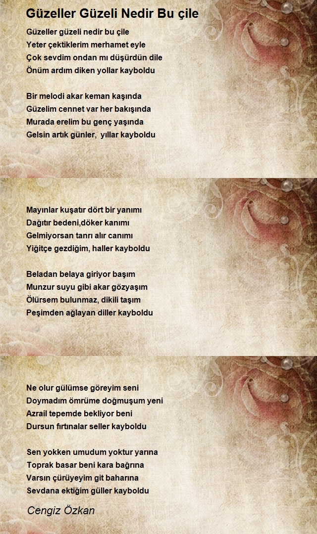 Cengiz Özkan