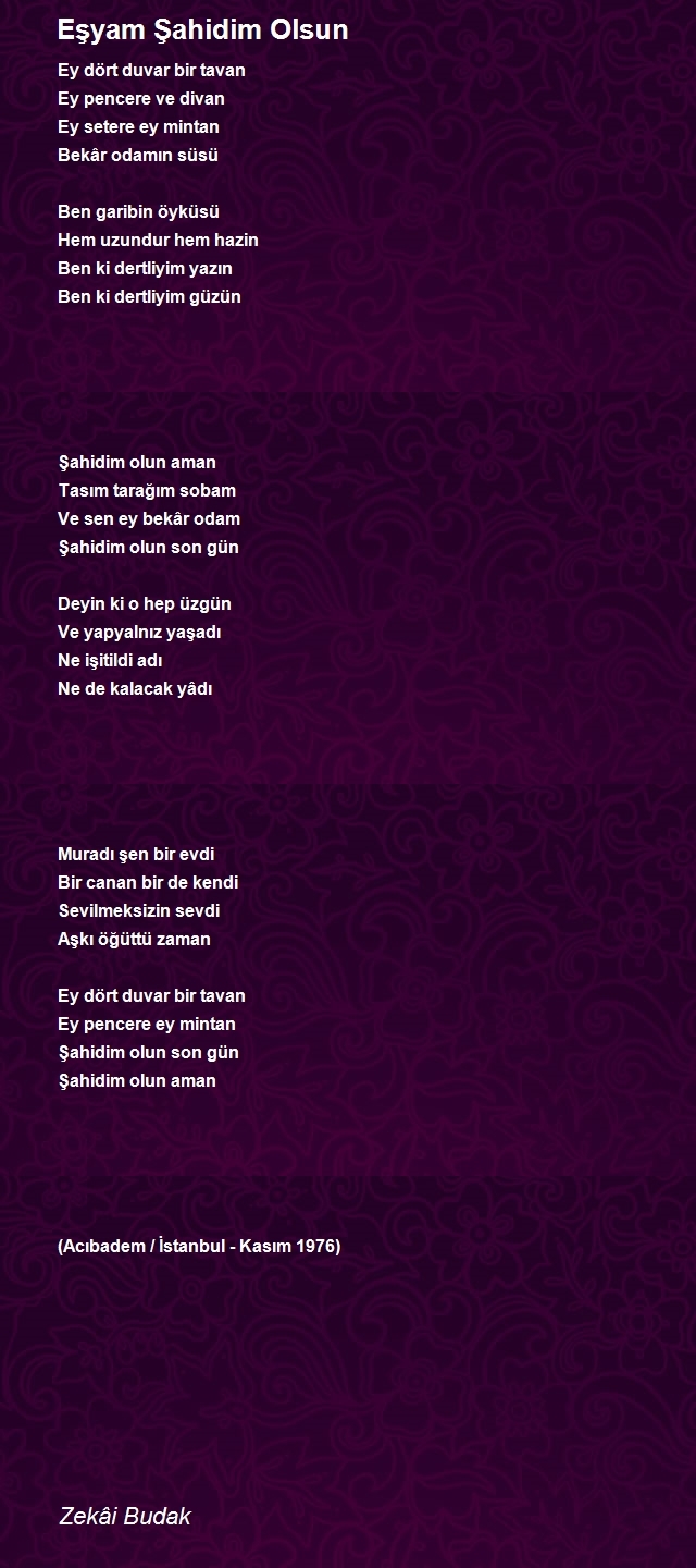 Zekâi Budak
