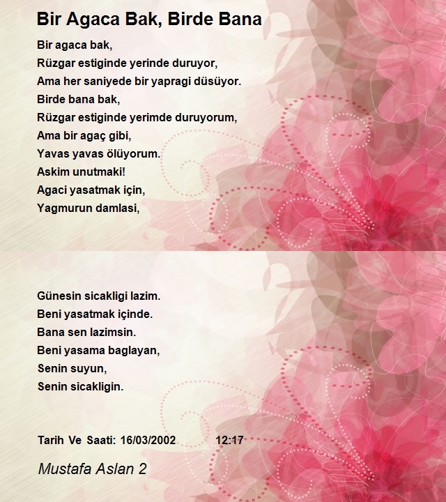 Mustafa Aslan 2