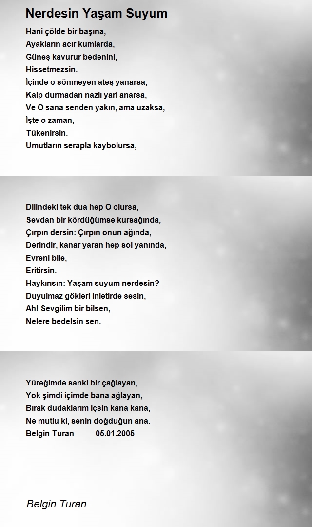 Belgin Turan