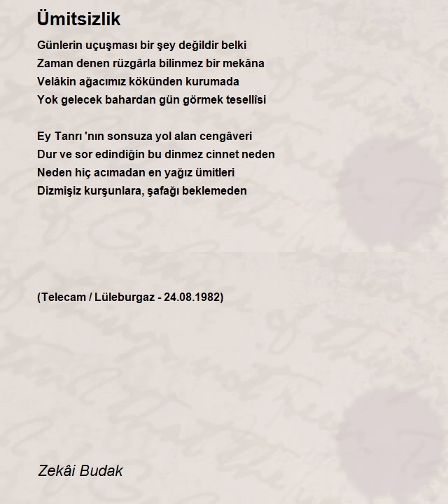 Zekâi Budak