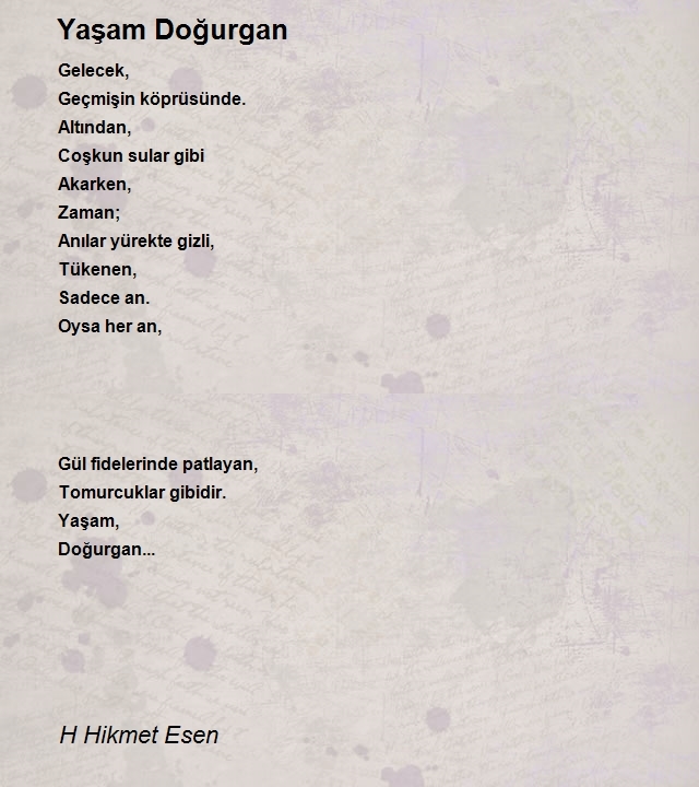 H Hikmet Esen