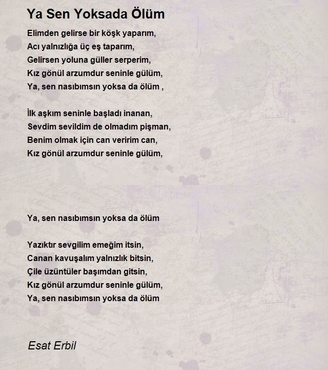 Esat Erbil