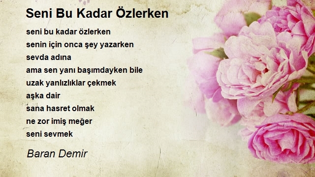 Baran Demir