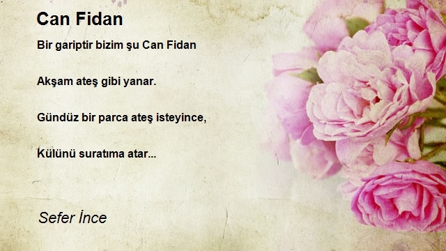 Sefer İnce