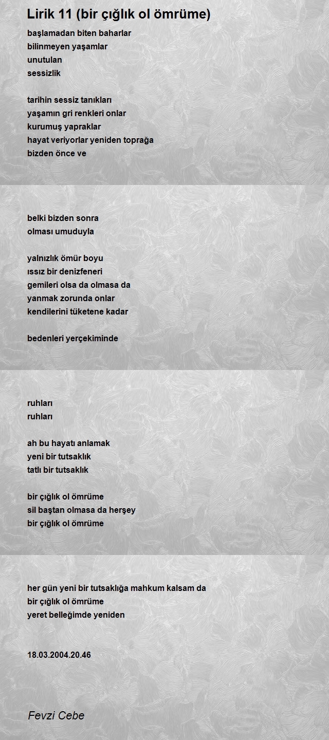 Fevzi Cebe