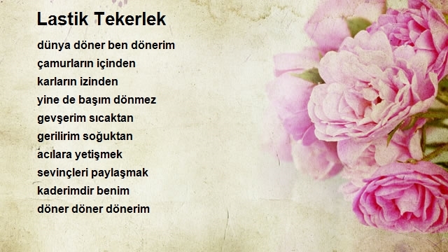 Altay Taşkın