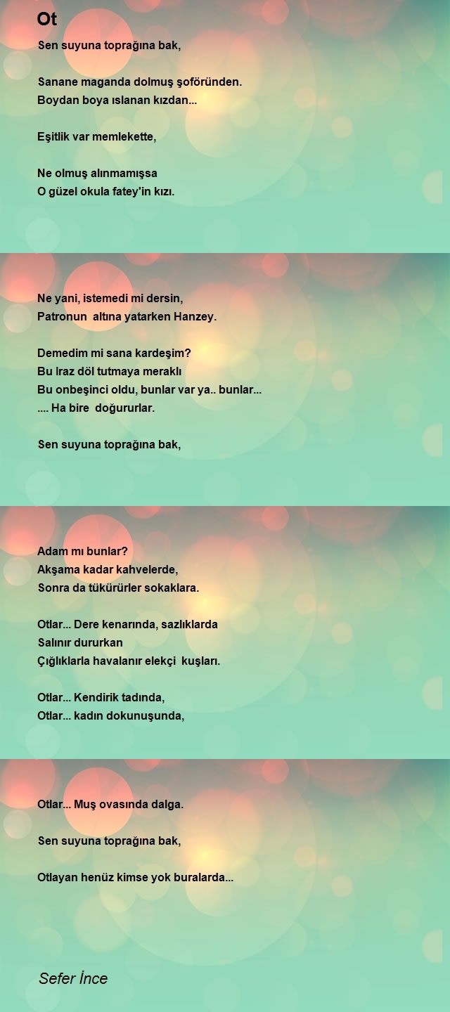 Sefer İnce