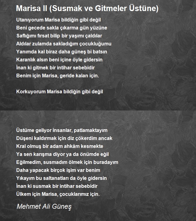 Mehmet Ali Güneş