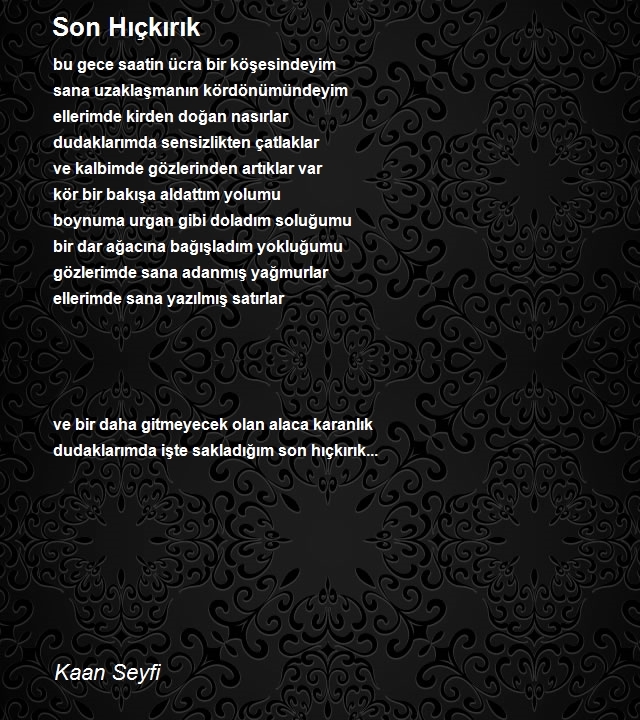 Kaan Seyfi