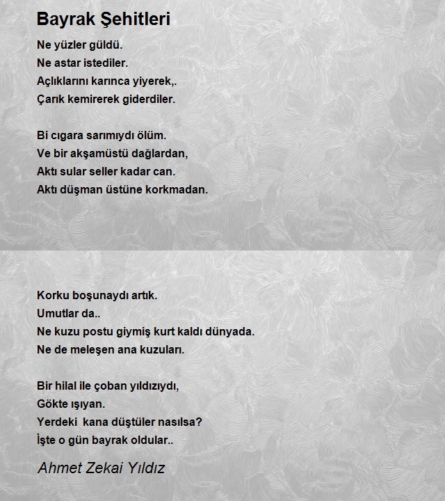 Ahmet Zekai Yıldız