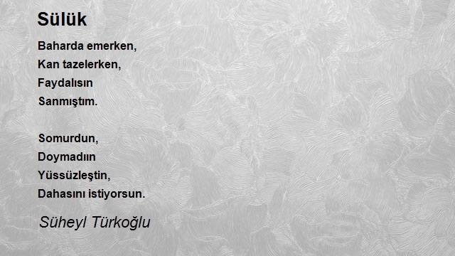 Süheyl Türkoğlu