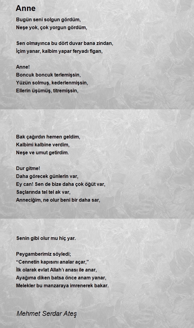 Mehmet Serdar Ateş