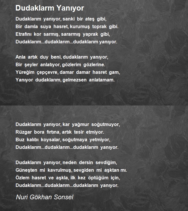Nuri Gökhan Sonsel