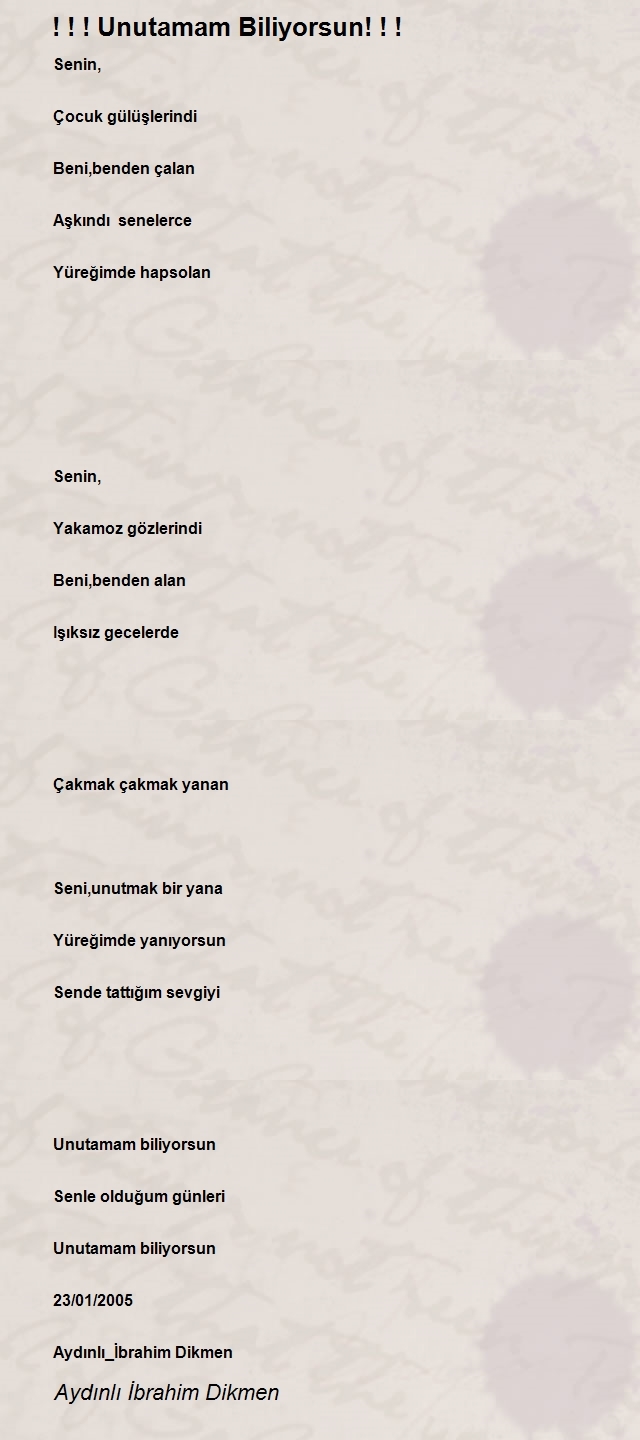 İbrahim Dikmen 2