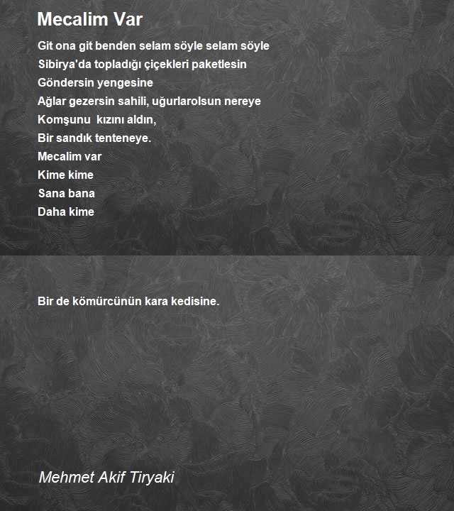 Mehmet Akif Tiryaki