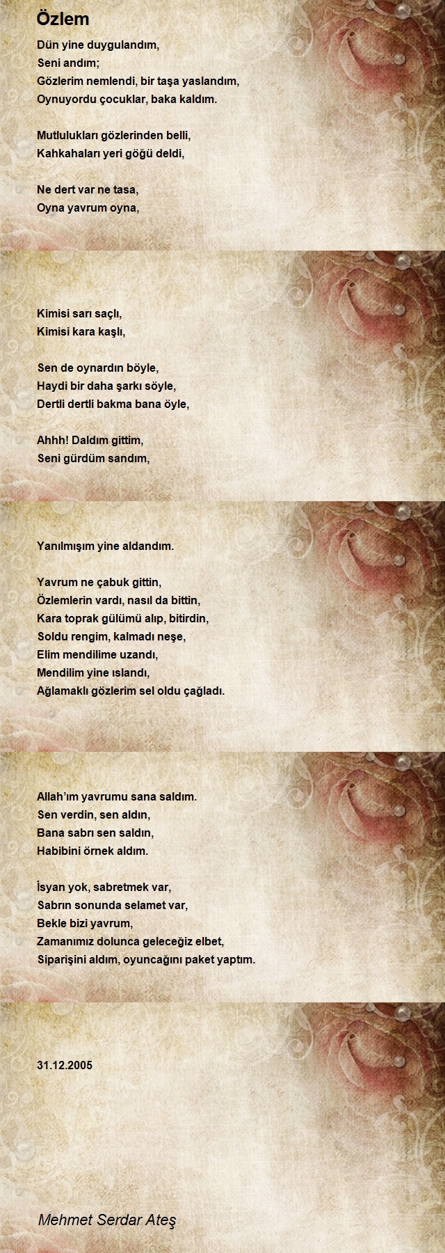 Mehmet Serdar Ateş