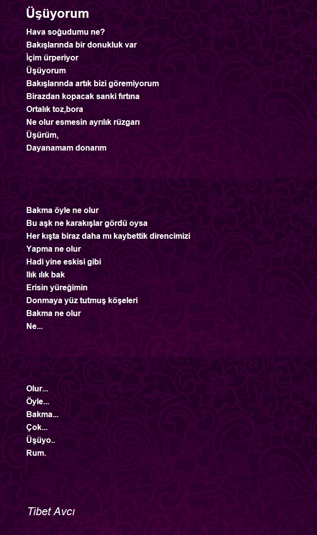 Tibet Avcı