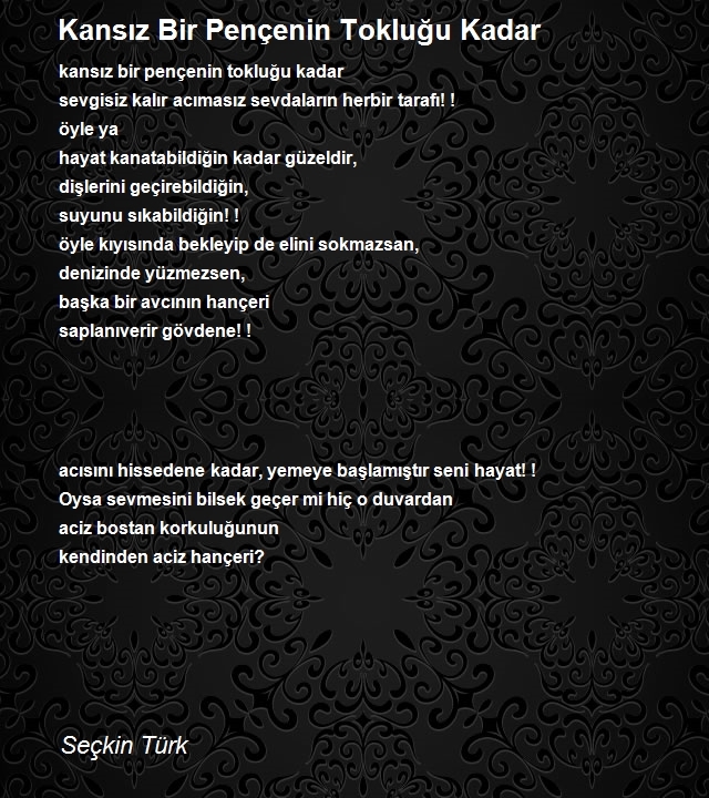 Seçkin Türk
