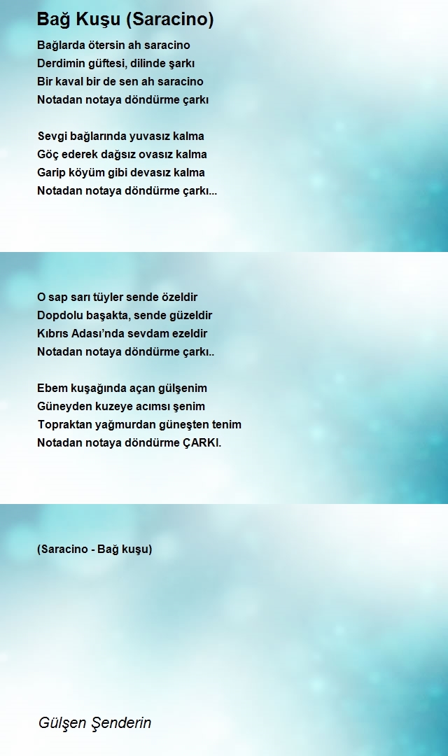 Gülşen Şenderin