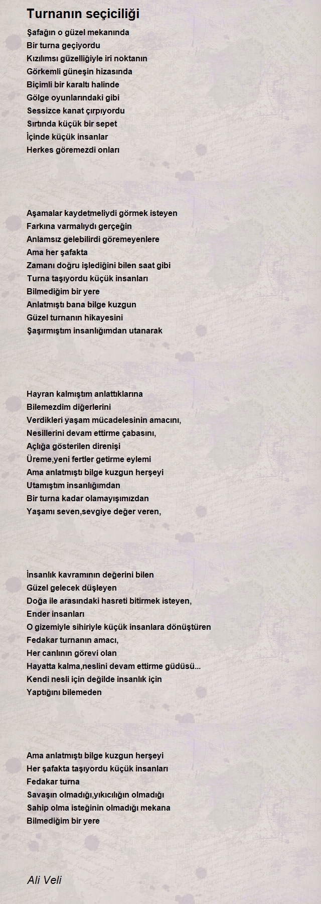 Ali Veli
