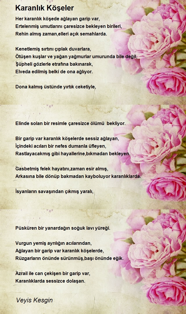 Veyis Kesgin