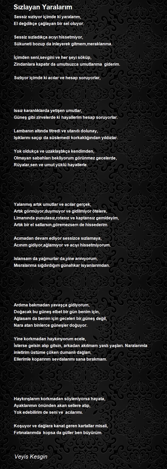 Veyis Kesgin