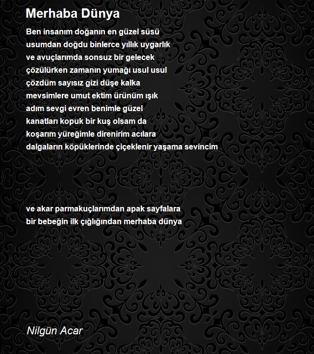 Nilgün Acar