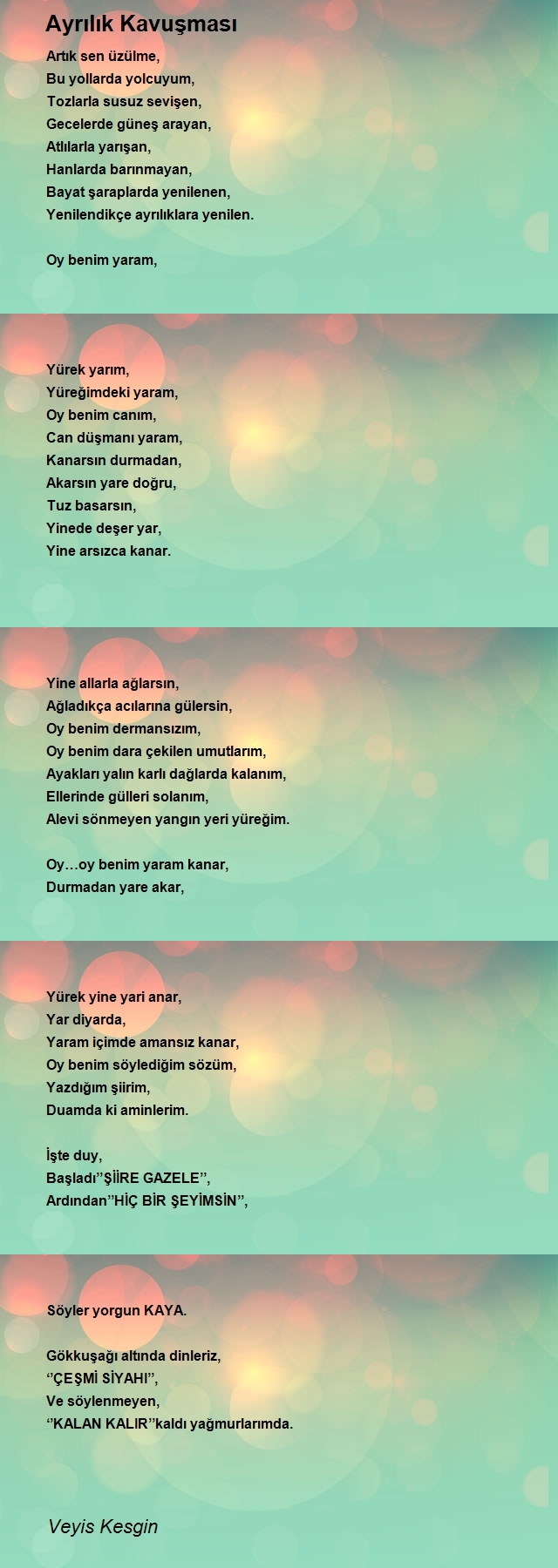 Veyis Kesgin