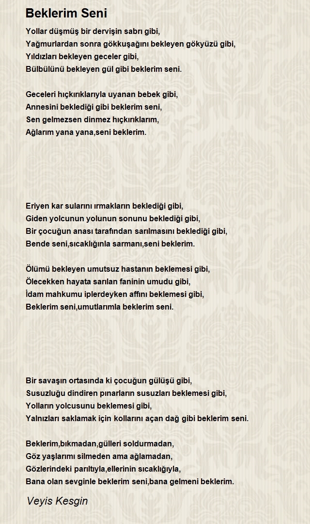 Veyis Kesgin