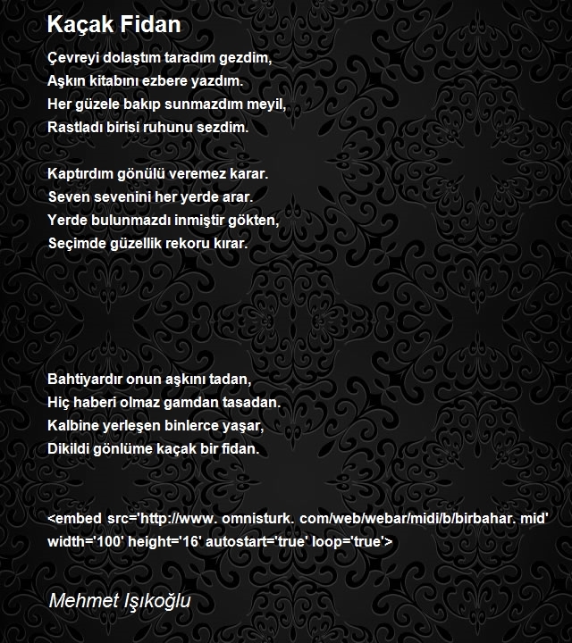 Mehmet Işıkoğlu