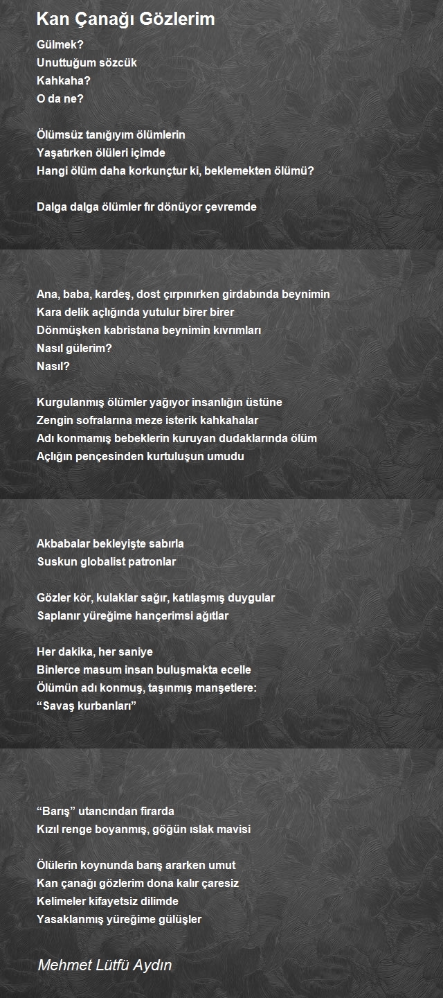 Mehmet Lütfü Aydın
