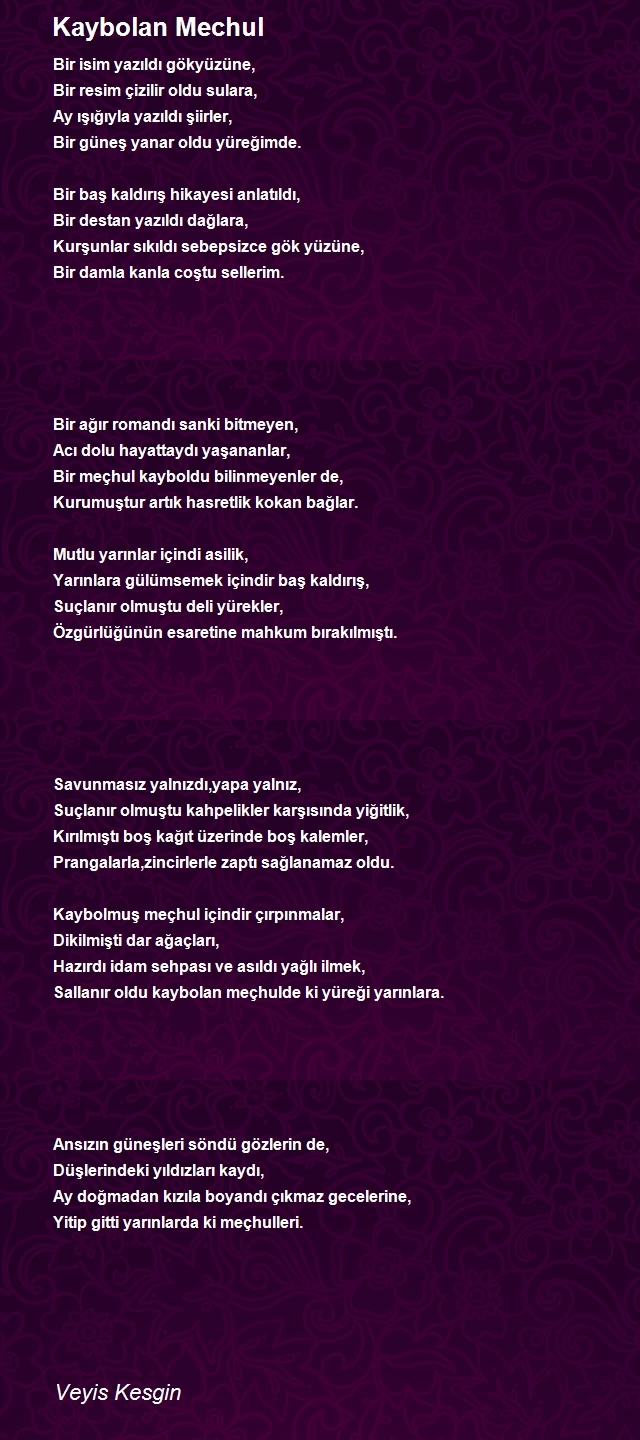 Veyis Kesgin