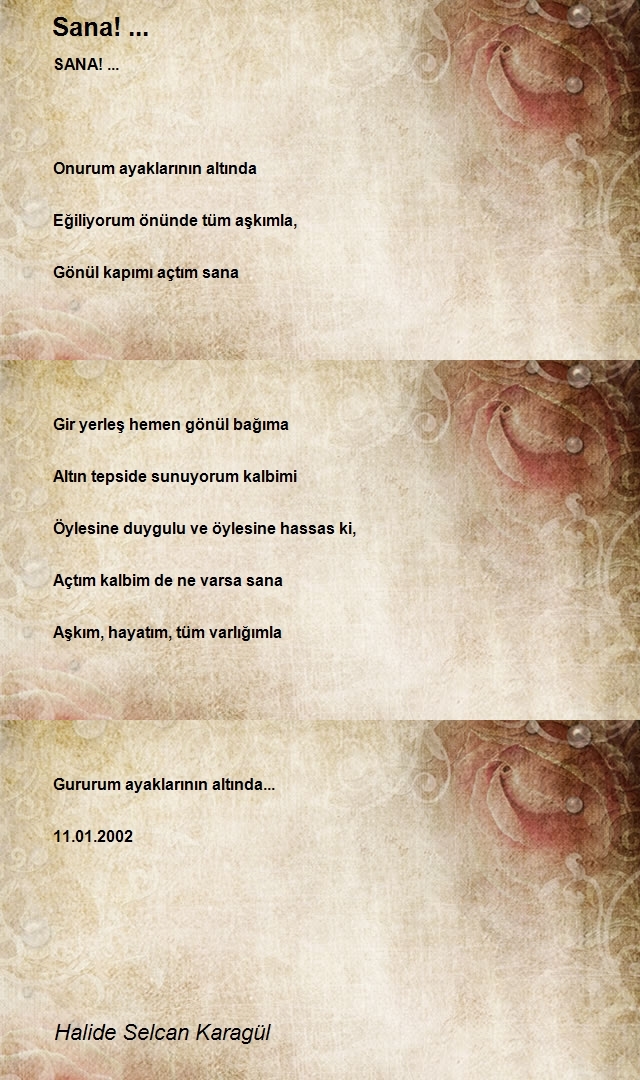 Halide Selcan Karagül