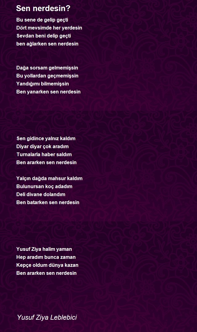 Yusuf Ziya Leblebici