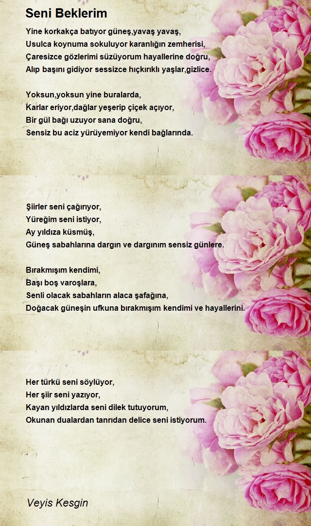 Veyis Kesgin