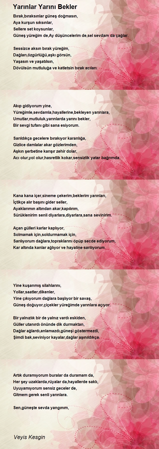 Veyis Kesgin