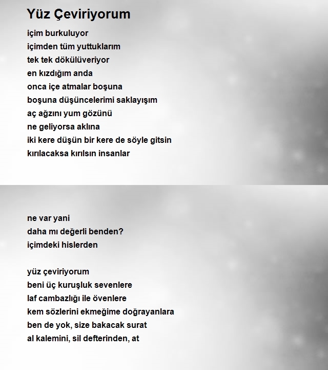 Erdoğan Ergin