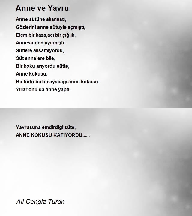 Ali Cengiz Turan