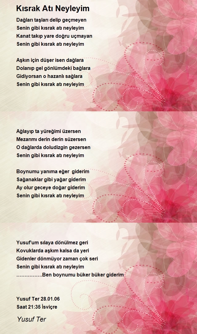 Yusuf Ter