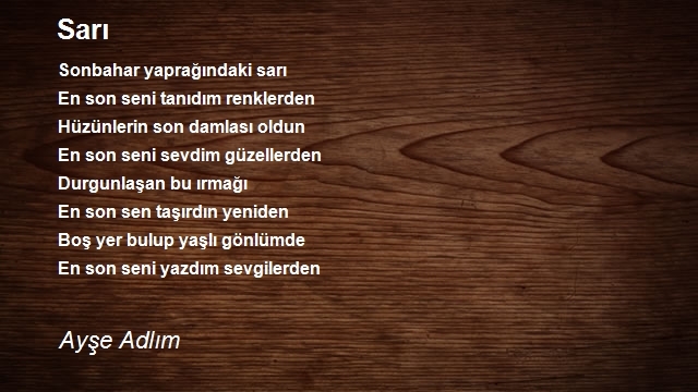Ayşe Adlım