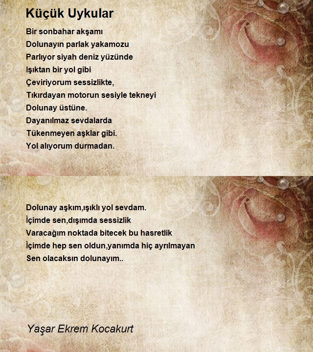 Yaşar Ekrem Kocakurt