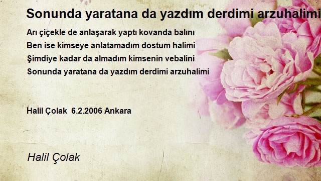 Halil Çolak