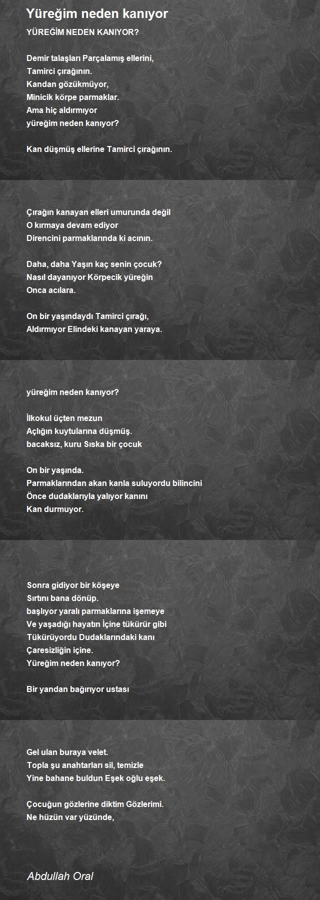 Abdullah Oral
