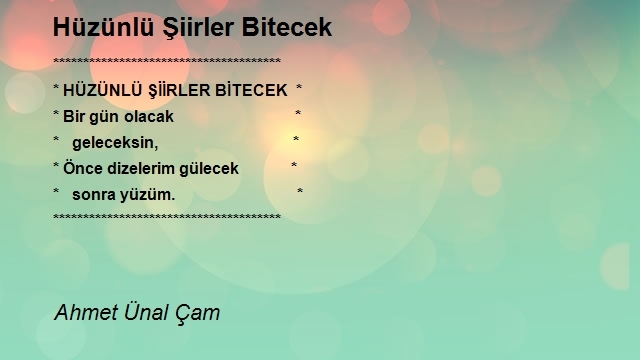 Ahmet Ünal Çam